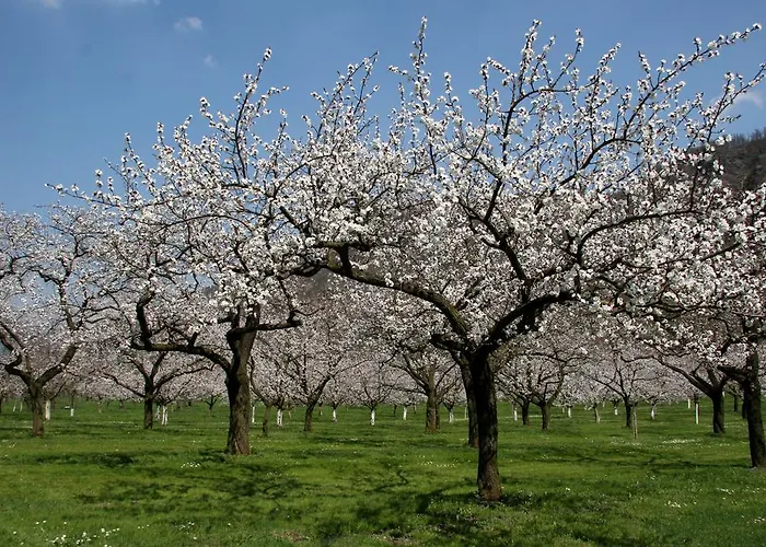 Hotel Schlossgasthof Artstetten
